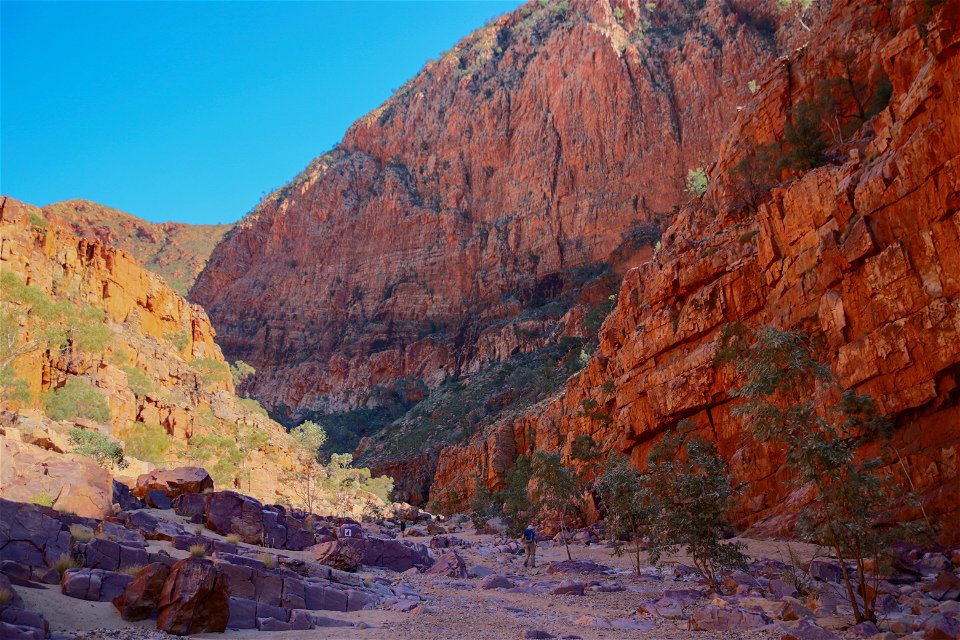 Ormiston Gorge