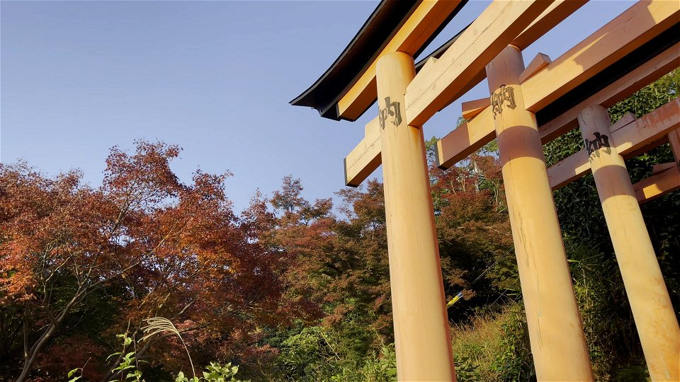 伏見稲荷/Fushimi Inari Shrine photo