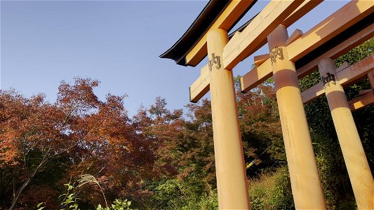 伏見稲荷/Fushimi Inari Shrine