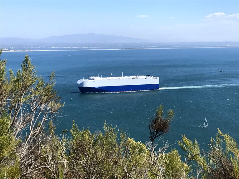Cargo Ship