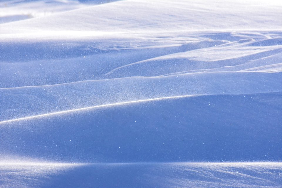 Sage steppe winter at Seedskadee NWR