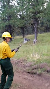 A firefighters shoots a flare to ignite a section of the Canyon 66 Prescribed fire photo