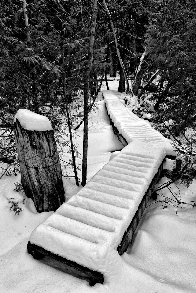 Hiking the Bruce Trail photo