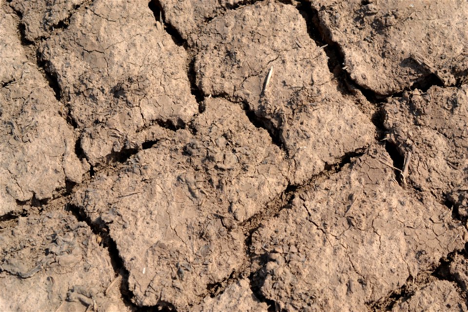 Free textures with cracks