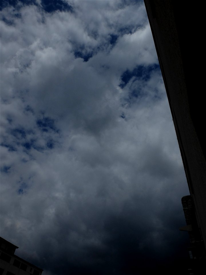 nori-NCramfil2015_0529_122433