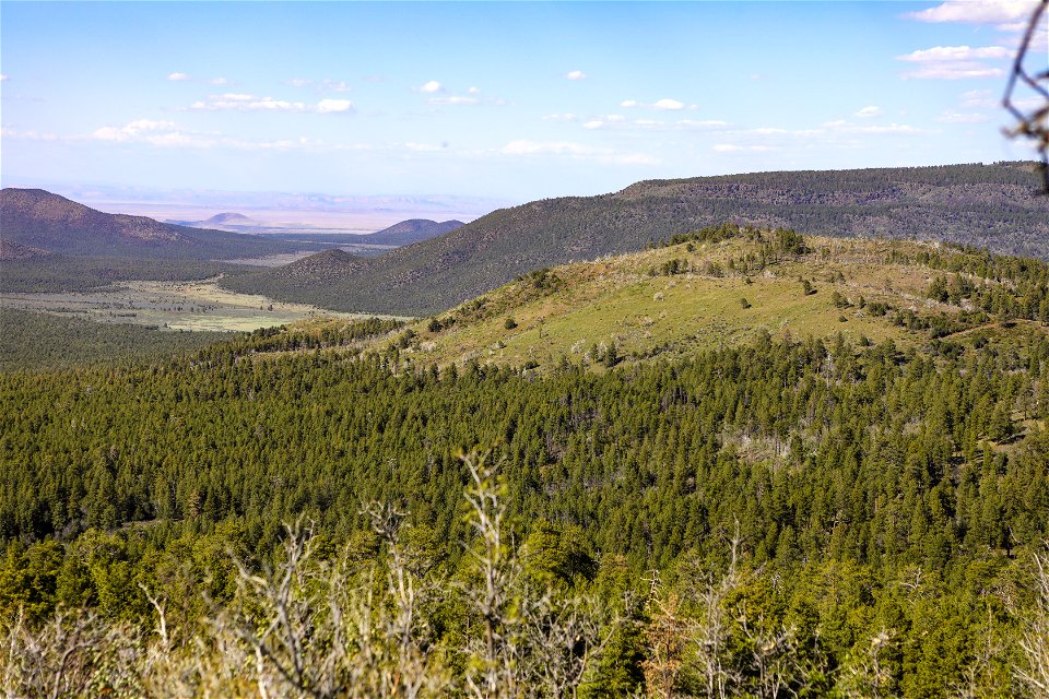 MAY 17: Burned sagebrush steppe