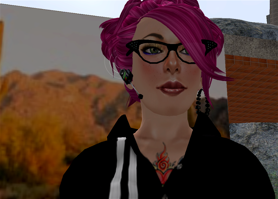 Intellagirl-ing the Virtual Desert