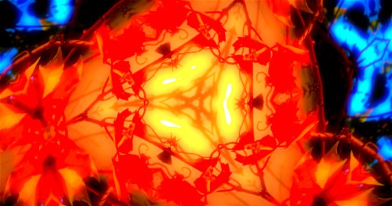 Kaleidoscope211210152845