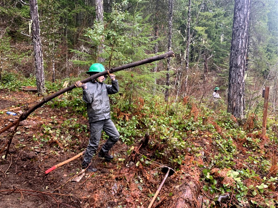 20220319_ Washington Trails Association volunteers at Wind River Arboretum, 03, courtesy WTA.