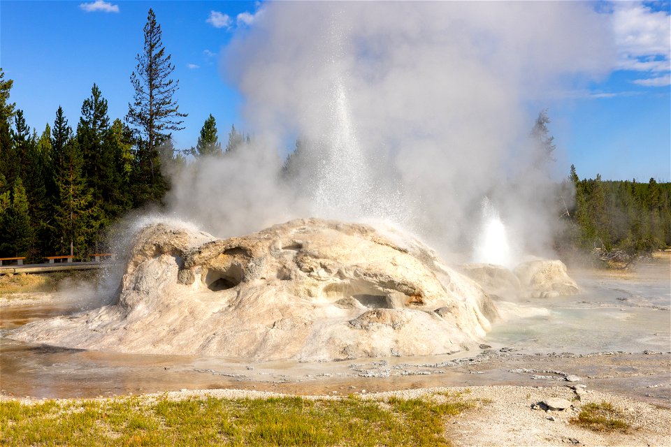 Grotto and Rocket geysers erupting