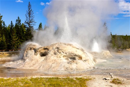 Grotto and Rocket geysers erupting photo