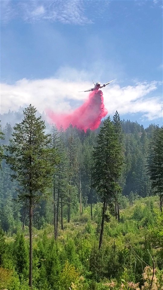 Litte Pine Fire