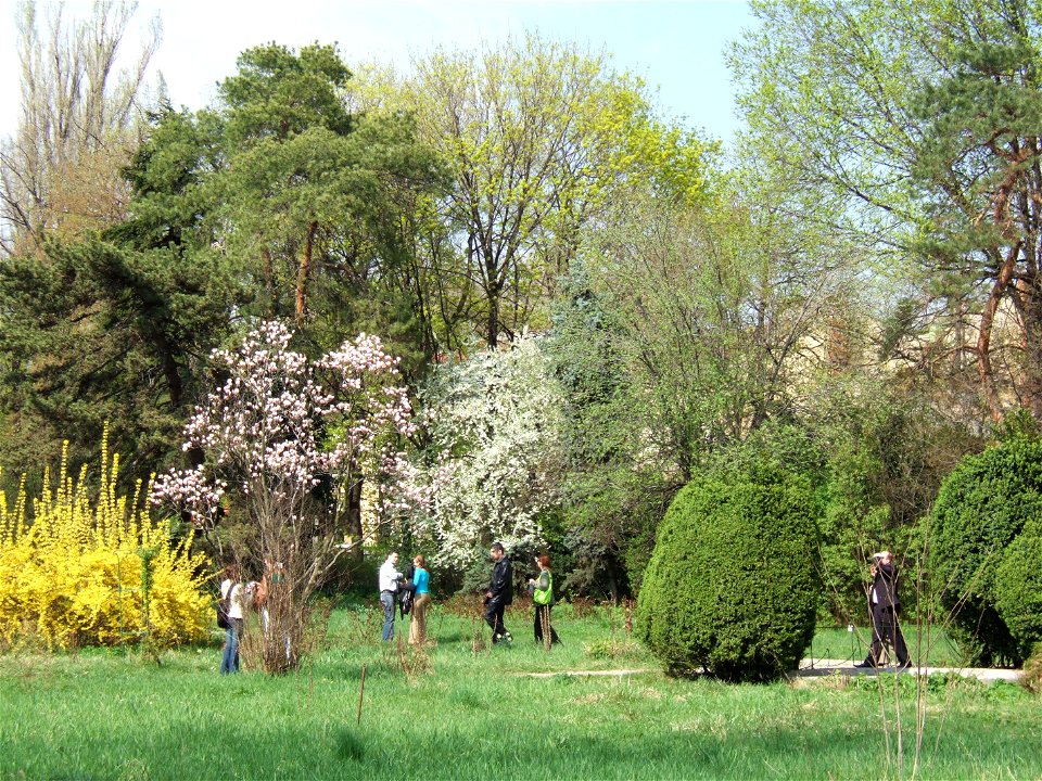 gradina botanica_95