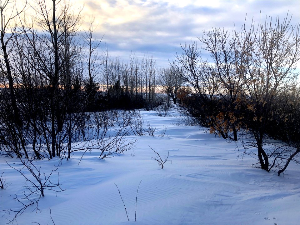 Atop the North Side Drifts