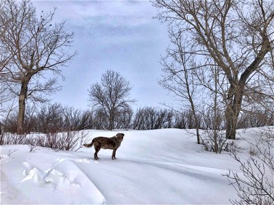 Those Drifts are HUGE! photo