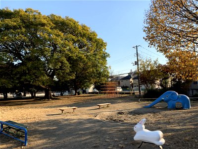 Tsubaki Park in Maesawa, Higashikurume-shi in November