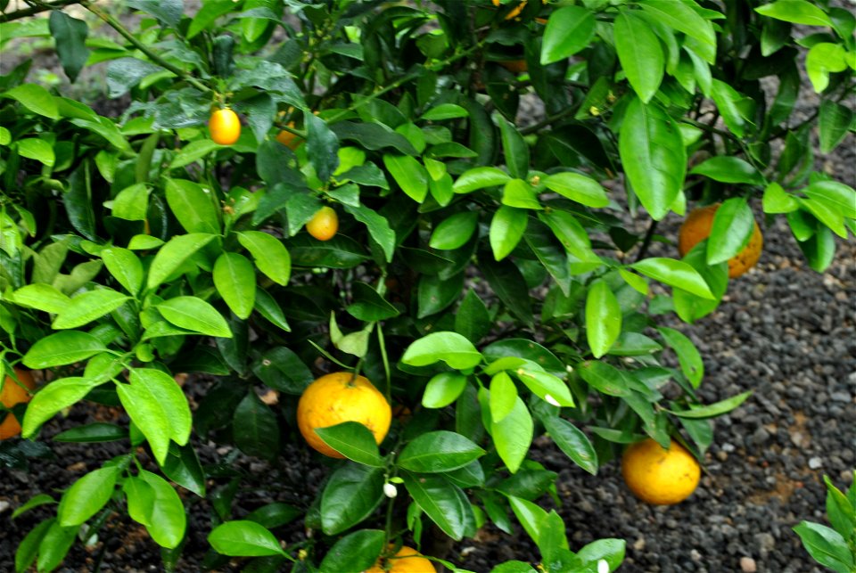 Suncheonman Bay National Garden Expo
