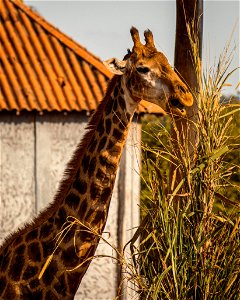 IMG_1662