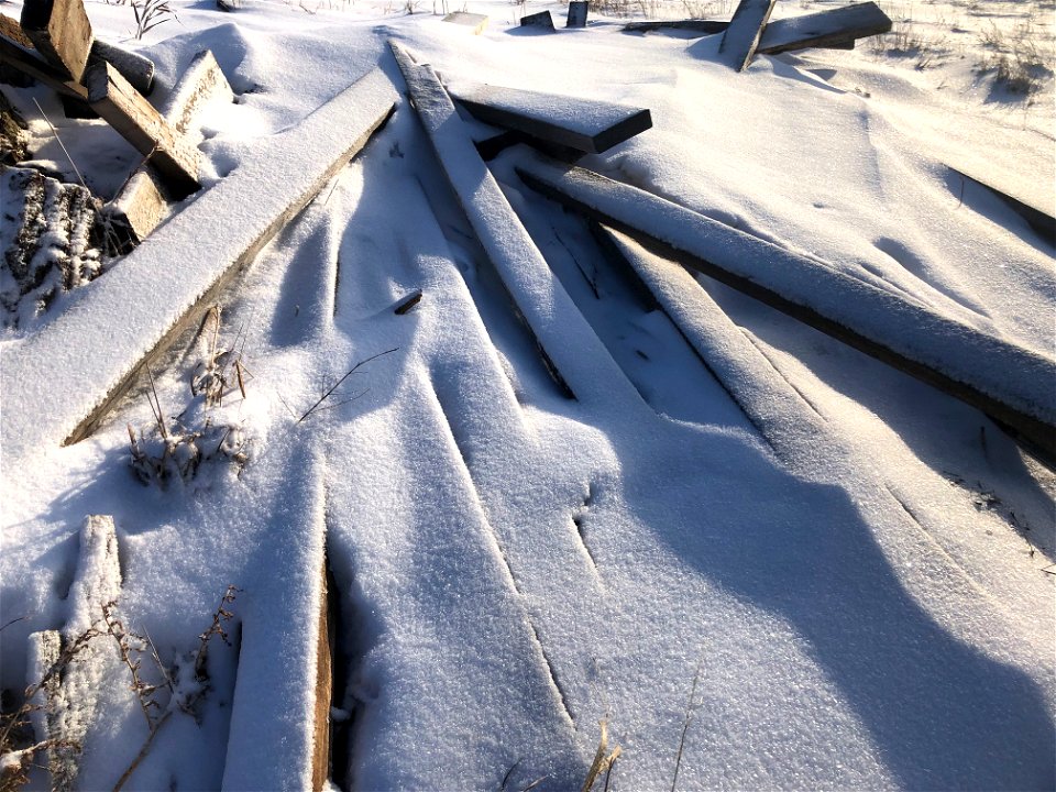 2022/365/24 Lumbering Under Snow photo