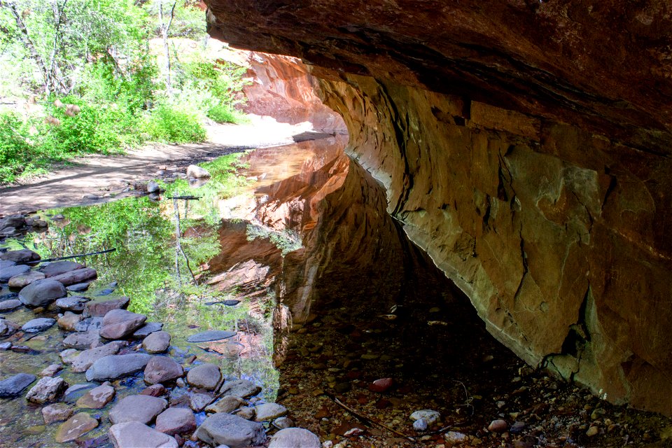 Springtime - West Fork of Oak Creek Trail #108