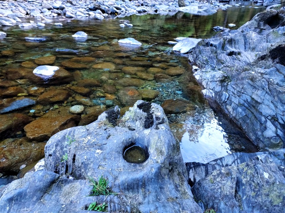 Clear Creek, Mt. Baker-Snoqualmie National Forest. Photo by Anne Vassar Sept. 13, 2021.