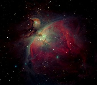 Orion Nebula CDK24 photo