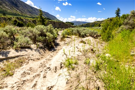 Yellowstone flood event 2022: Boiling River trail flooded (4)