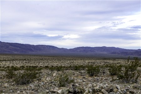 Views of the Pinto Basin from Turkey Flats photo