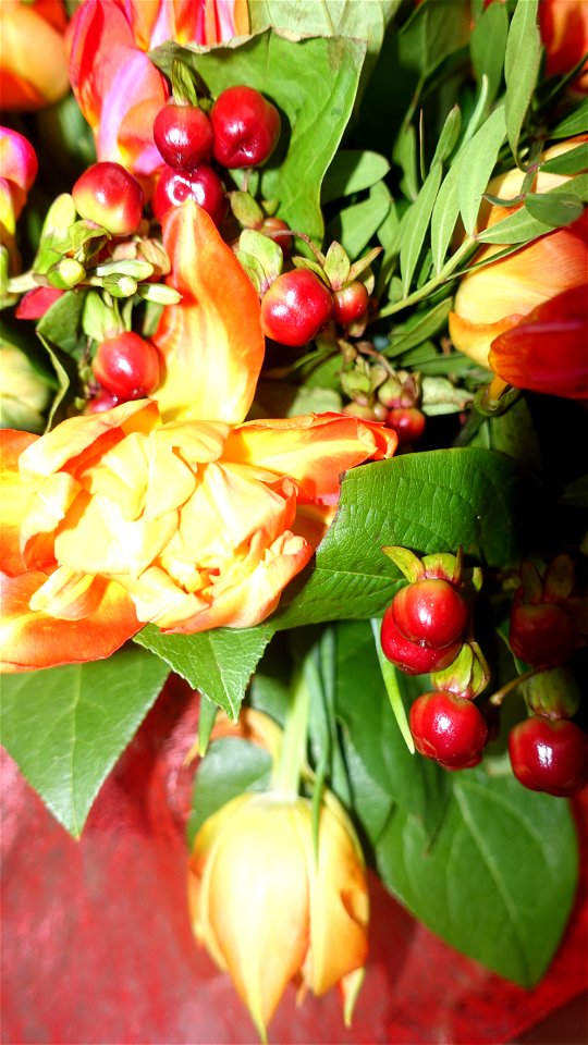 flori_flowers-wife-2023_0216_162028