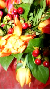 flori_flowers-wife-2023_0216_162028