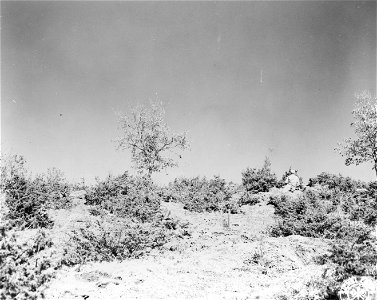 SC 270840 - Infantrymen of the 1st Bn., 85th Mtn. Inf., 10th Mtn. Div., watching P-47 Thunderbolts dive bombing and strafing enemy positions about six hundred yards in front of their own position.