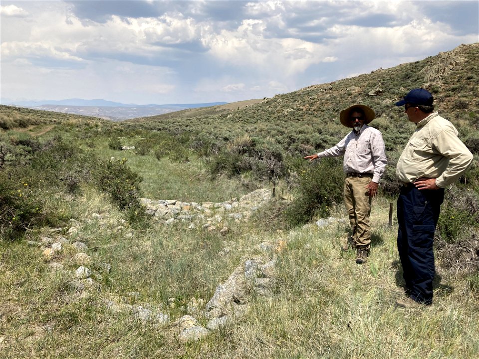 Zeedyk structure in sagebrush