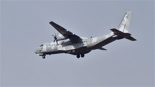 Heute gab es jede Menge Pol(l)enflug: