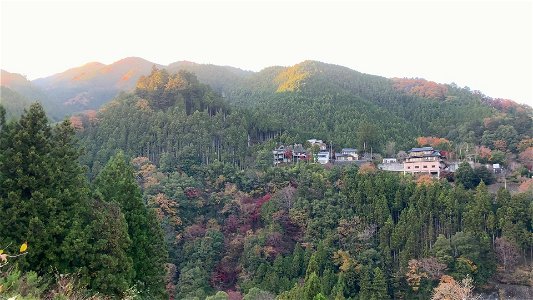 Hikawa in Okutama-machi