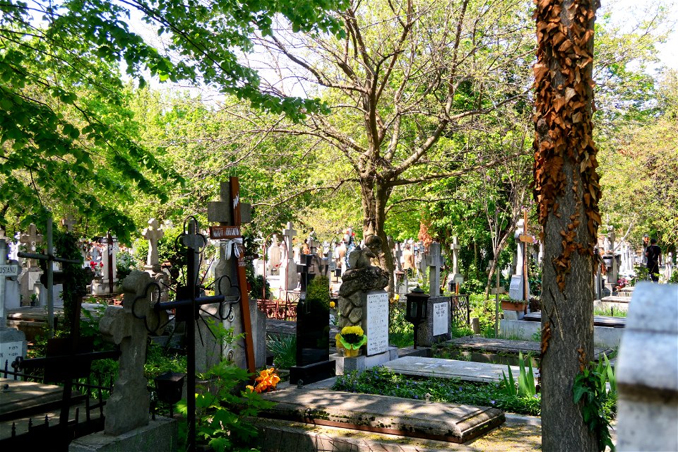 cimitir Sfanta Vineri (30)