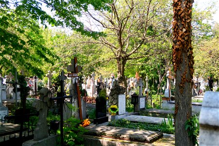 cimitir Sfanta Vineri (30)