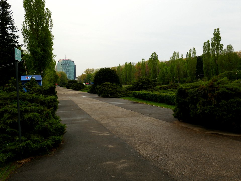 Herestrau Park in spring (121)
