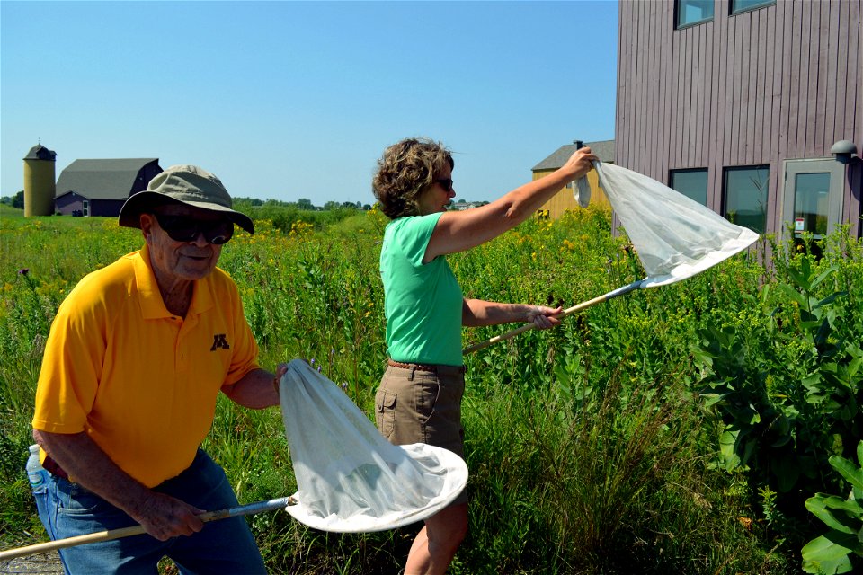 PWLC Monarch Tagging