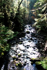 img_2069_deception-creek-upstream-from-bridgejpg_49364714402_o photo