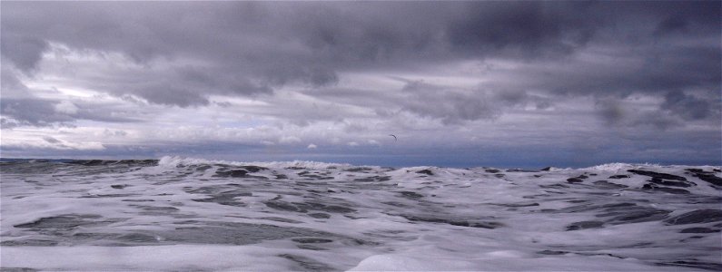 Kiteboarding, Waves, Saunton Sands Beach, Braunton, North Devon, UK   4th Oct 2022  Sea&Sea DX-2G photo