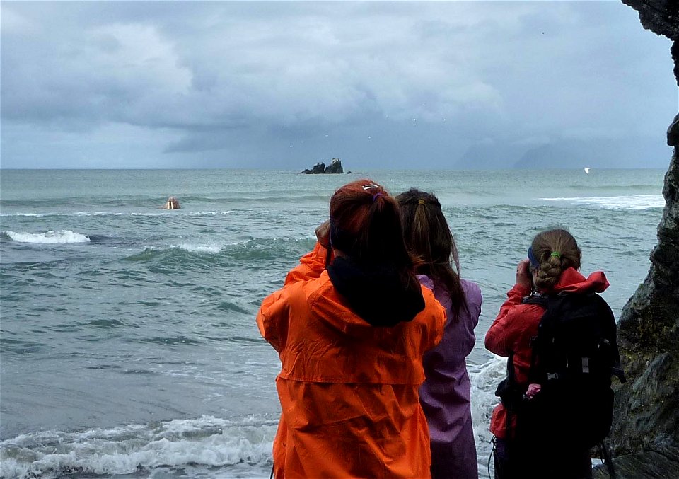 2015_Togiak_SC_CapePierce (5)
