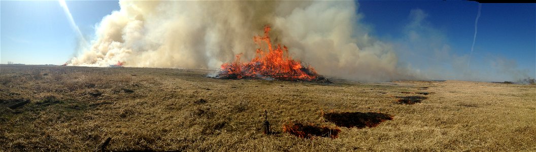 2021 USFWS Fire Employee Photo Contest Category: Fuels Management photo