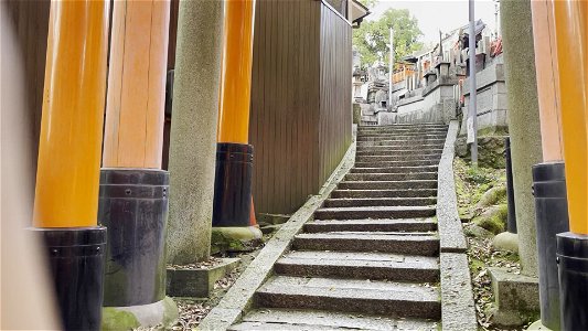 伏見稲荷/Fushimi Inari Shrine photo