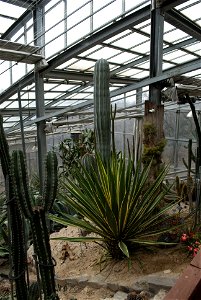 Hantaek Botanical Garden