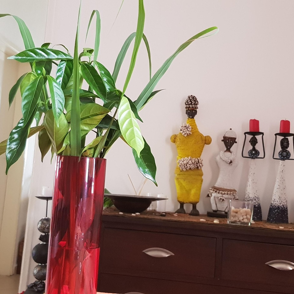 House decoration flowerpot