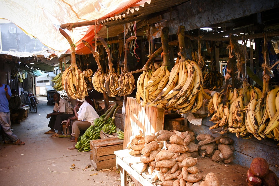 Market traders sellers