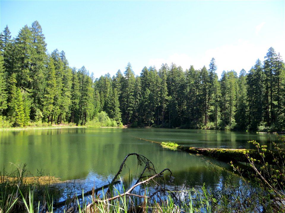 lake-in-the-woods-deanschlichting-2016jpg_49364215703_o