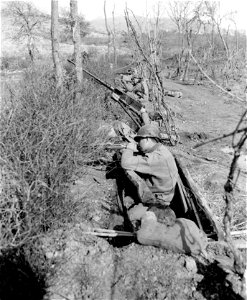 SC 364666 - Behind the screen of brush and barbed wire in a row of foxholes, front to rear: photo