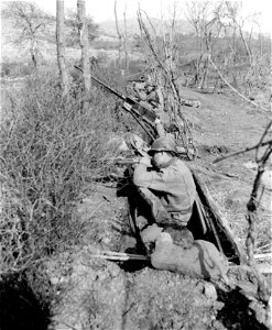 SC 364666 - Behind the screen of brush and barbed wire in a row of foxholes, front to rear:
