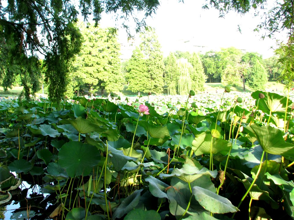 parcCirc2009_0909_174910
